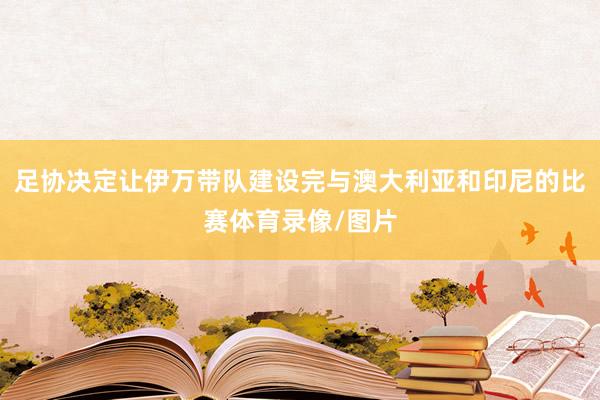 足协决定让伊万带队建设完与澳大利亚和印尼的比赛体育录像/图片